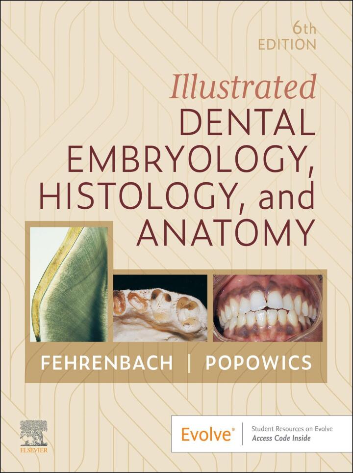 Illustrated Dental Embryology, Histology, and Anatomy 6th Edition